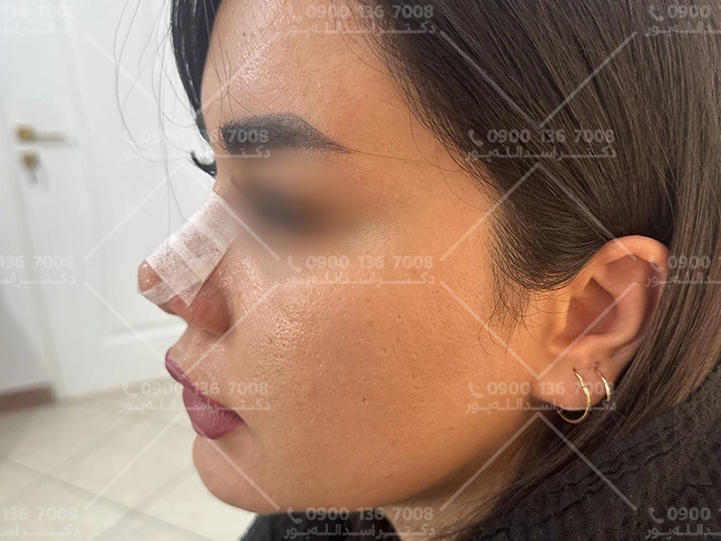 خدمات ارائه شده